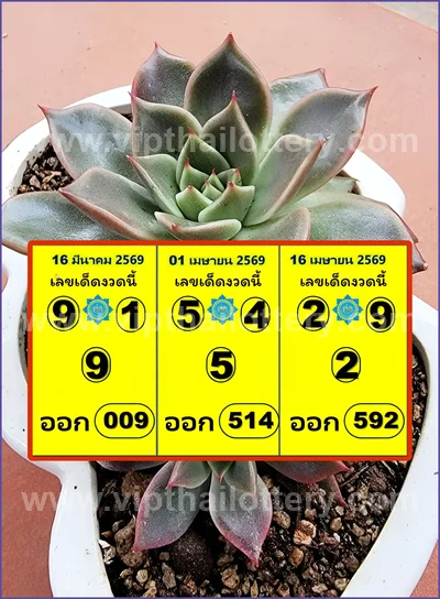 Thai Lotto Direct Numbers Set Tips Master Result 16-4-2026