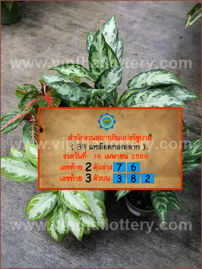 Thai Lotto Direct Numbers Set Tips Master Result 16-4-2026