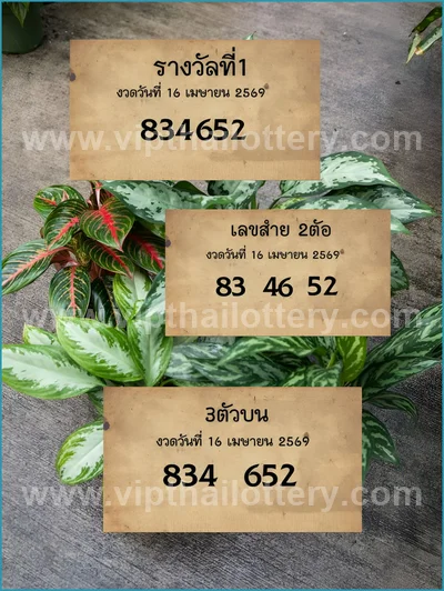Thai Lotto Direct Numbers Set Tips Master Result 16-4-2026