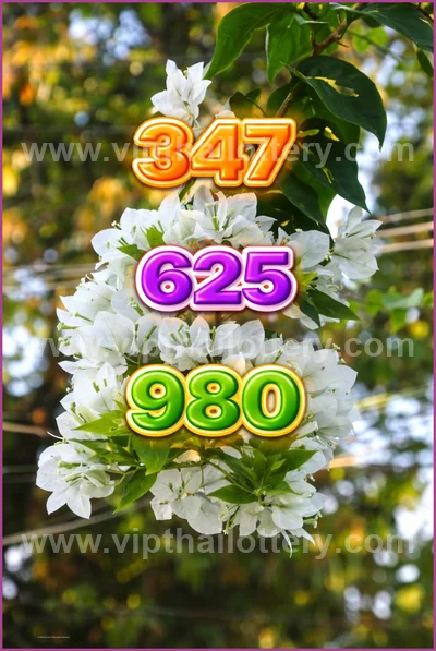 Thai Lottery Sure Formula Tips Winning VIP Result 16.04.2026