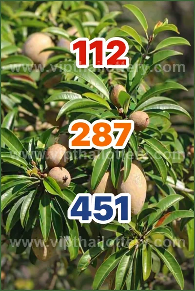 Thai Lottery Sure Formula Tips Winning VIP Result 16.04.2026