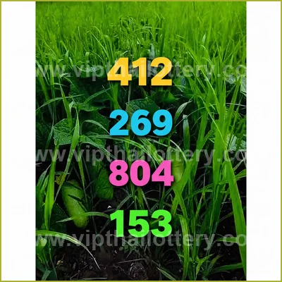 Thai Lottery Sure Formula Tips Winning VIP Result 16.04.2026