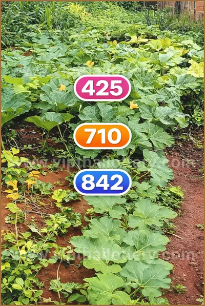 Thai Lottery Sure Formula Tips Winning VIP Result 16.04.2026