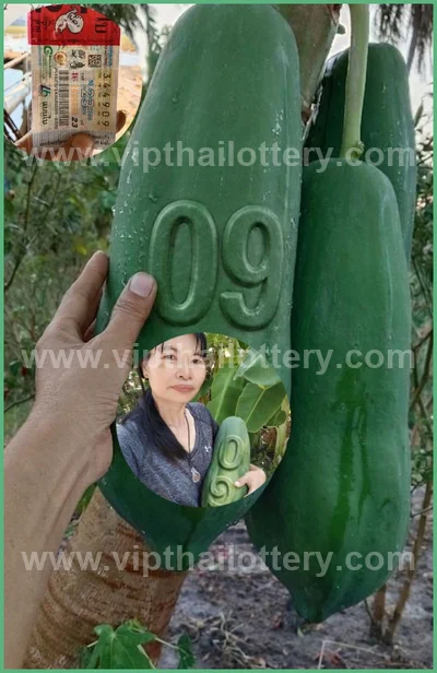 Thai Lottery Sure Formula Tips Winning VIP Result 16.04.2026