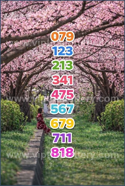 Thai Lottery Sure Formula Tips Winning VIP Result 16.04.2026