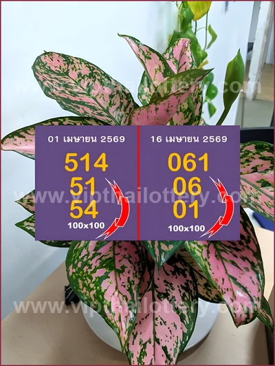 Thai Lottery Sure Formula Tips Winning VIP Result 16.04.2026