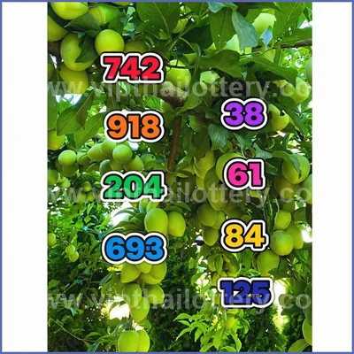 Thai Lottery Sure Formula Tips Winning VIP Result 16.04.2026