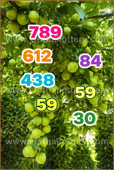 Thai Lottery Sure Formula Tips Winning VIP Result 16.04.2026