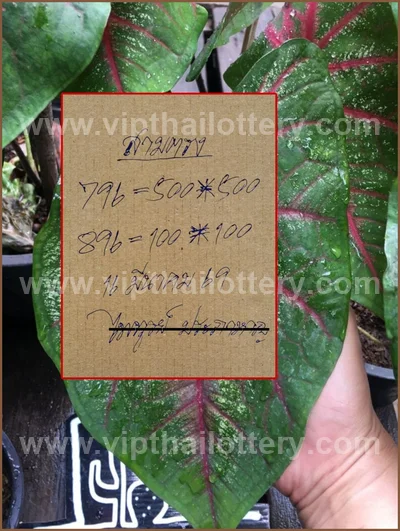 Thailand Lottery Numbers Sure Tips 3Up Touch 16 April 2026