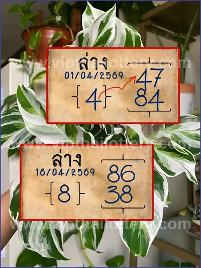 Thailand Lottery Numbers Sure Tips 3Up Touch 16 April 2026