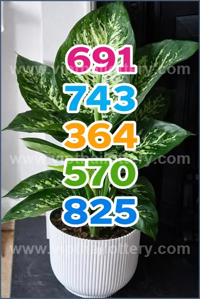 Thailand Lottery Numbers Sure Tips 3Up Touch 16 April 2026