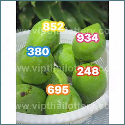 Thai Lottery 3Up Touch Lucky Sure Master Set Result 16.04.26