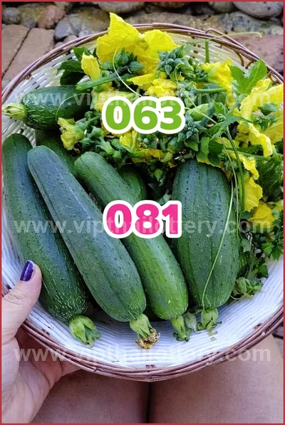 Thai Lottery 3Up Touch Lucky Sure Master Set Result 16.04.26