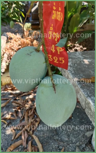 Thai Lottery 3Up Touch Lucky Sure Master Set Result 16.04.26