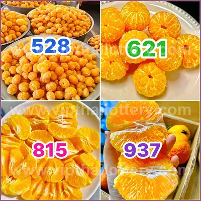 Thai Lottery 3Up Touch Lucky Sure Master Set Result 16.04.26