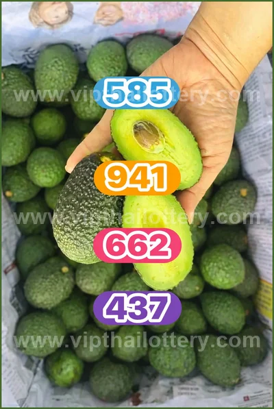 Thai Lottery 3Up Touch Lucky Sure Master Set Result 16.04.26