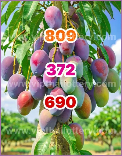 Thai Lottery 3Up Touch Lucky Sure Master Set Result 16.04.26