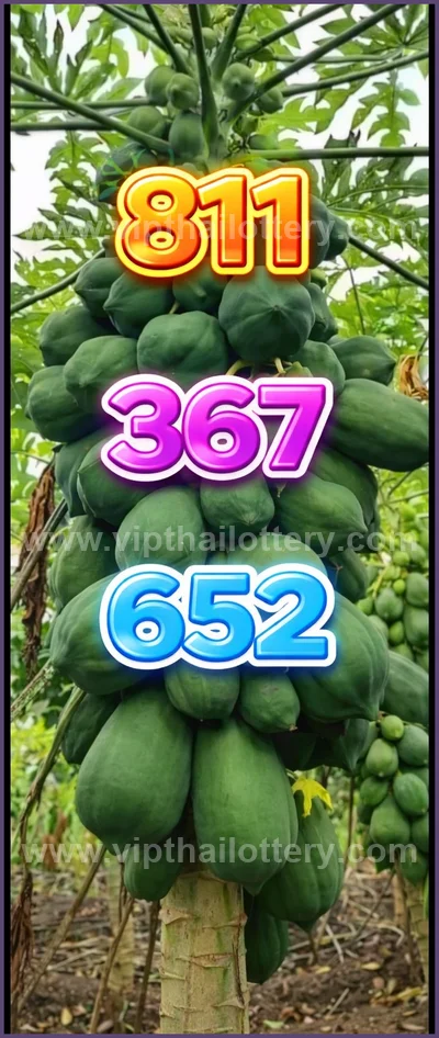 Thai Lotto Paper VIP Lucky Direct Sure Result 3Up 16/04/2026