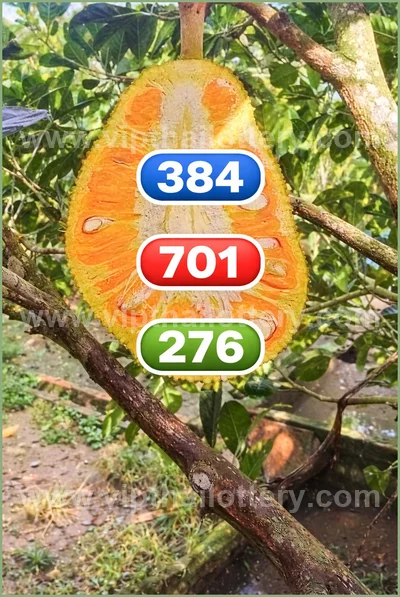 Thai Lotto Paper VIP Lucky Direct Sure Result 3Up 16/04/2026