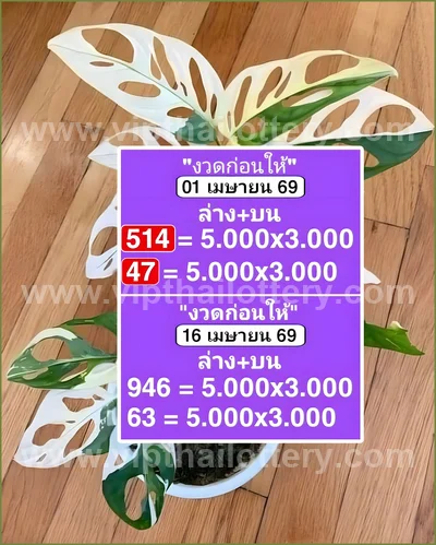 Thai Lotto Paper VIP Lucky Direct Sure Result 3Up 16/04/2026