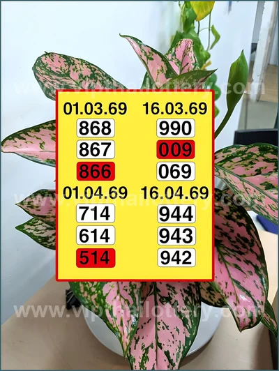 Thai Lotto Paper VIP Lucky Direct Sure Result 3Up 16/04/2026