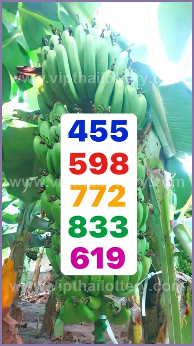 Thai Lotto Paper VIP Lucky Direct Sure Result 3Up 16/04/2026