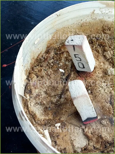 Thai Official Lottery Master Touch Formula Direct 16-4-2026