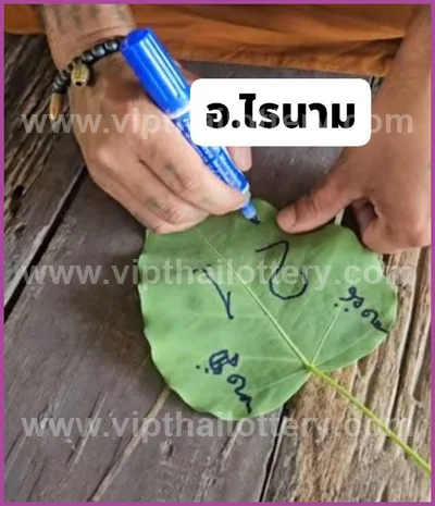 Thai Official Lottery Master Touch Formula Direct 16-4-2026