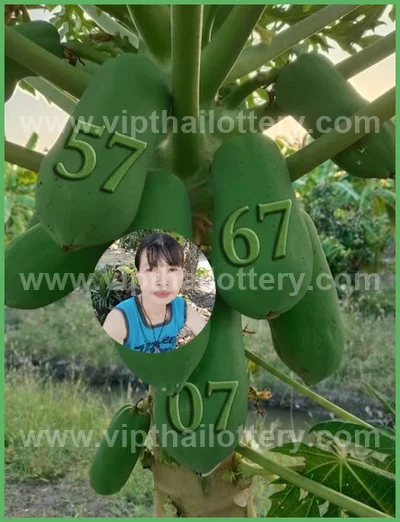 Thai Official Lottery Master Touch Formula Direct 16-4-2026