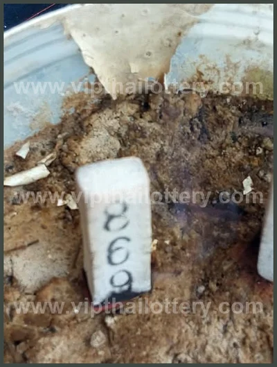 Thai Official Lottery Master Touch Formula Direct 16-4-2026