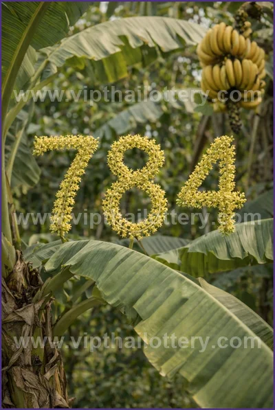 Thai Official Lottery Master Touch Formula Direct 16-4-2026