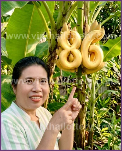 Thai Lotto Winning 3Up Set Result Formula Lucky 02/05/2026