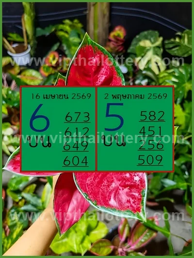 Thai Lotto 3Up Lucky Winning Master Paper Tips 02-05-2026