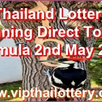 Thailand Lottery Winning Direct Touch Formula 2nd May 2026