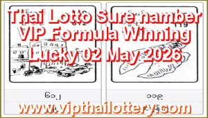 Thai Lottery Sure namber VIP Formula Winning Lucky 02 May 2026