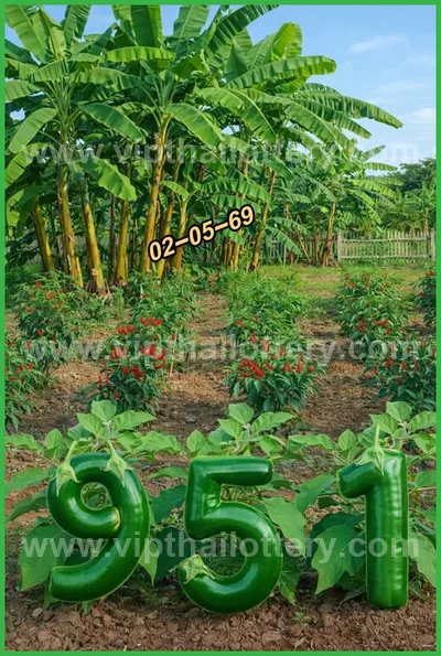 Thai Lotto Sure namber VIP Formula Winning Lucky 02 May 2026