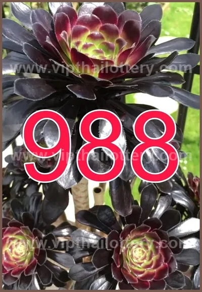 Thai Lottery Lucky Touch Formula Direct VIP Game 2 May 2026