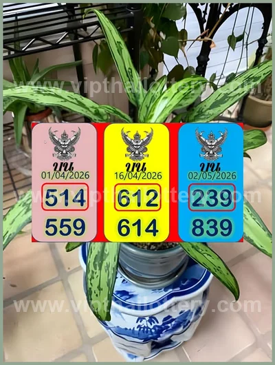 Thai Lottery Lucky Touch Formula Direct VIP Game 2 May 2026