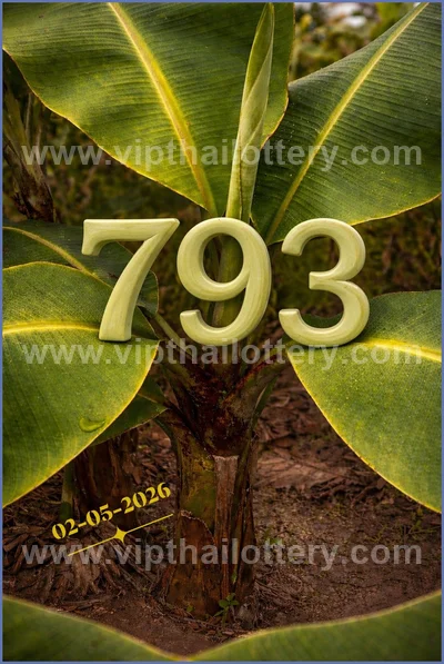 Thai Official Lottery Lucky Tips Formula Direct 02 May 2026