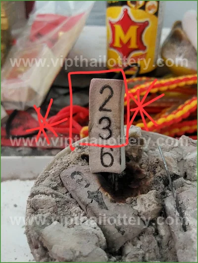 Thai Official Lottery Lucky Tips Sure namber VIP 2 May 2026