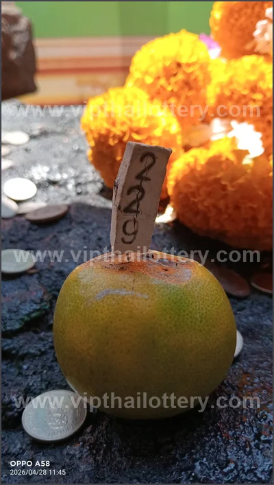 Thai Official Lottery Lucky Tips Sure namber VIP 2 May 2026