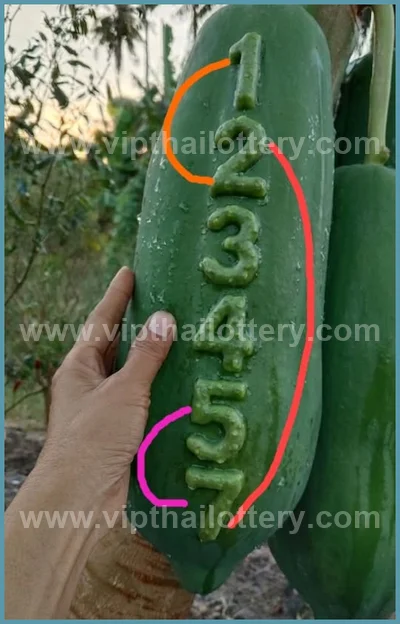 Thai Lottery Winning Result Set Master Tips Touch 02.05.2026