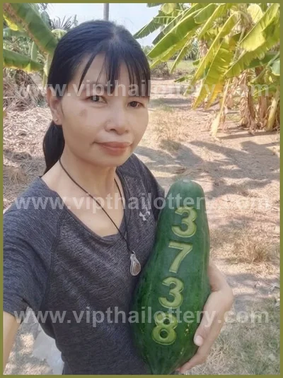Thai Lottery Winning Result Set Master Tips Touch 02.05.2026