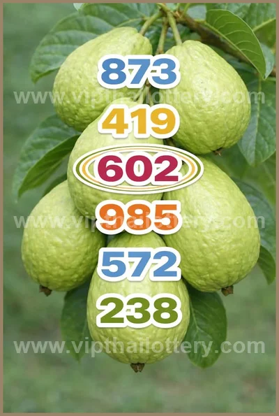 Thai Lotto Game Paper 3Up Result VIP Tips Formula 2.5.2026