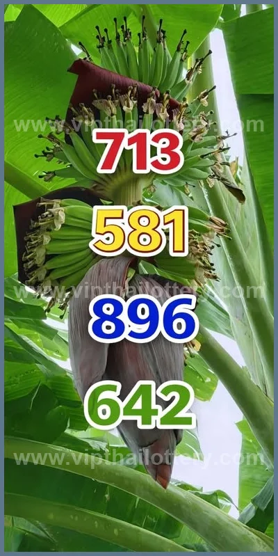 Thai Lotto Game Paper 3Up Result VIP Tips Formula 2.5.2026
