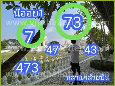 Thai Official Lottery Master Set 3Up Winning Tips 02.05.2026