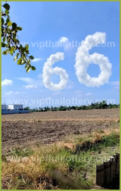 Thailand Official Lottery Tips VIP Result 3Up 16 May 2026