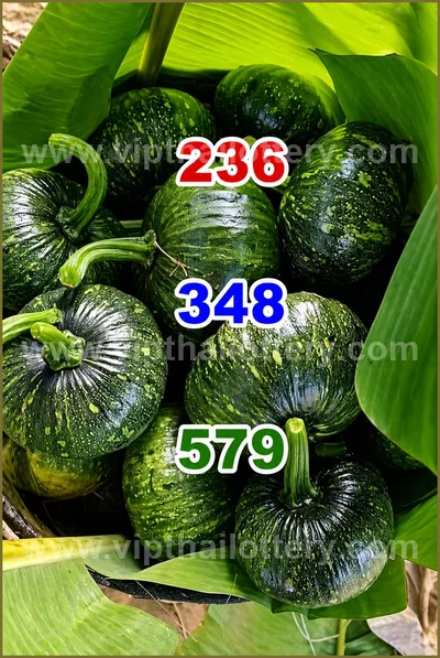 Thailand Official Lottery Master 100% Sure Number 16-5-2026