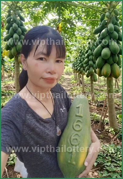 Thailand Official Lottery Master 100% Sure Number 16-5-2026