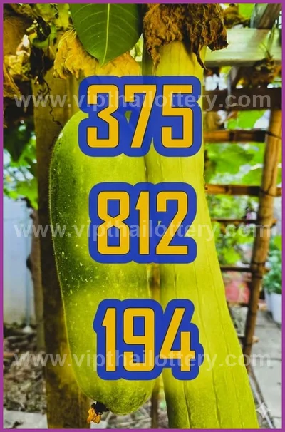 Thailand Lottery Down Formula Tips Numbers Direct 16/05/2026